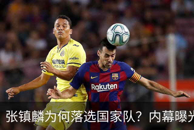 张镇麟为何落选国家队？内幕曝光，叫人心疼，郭士强并没放弃他